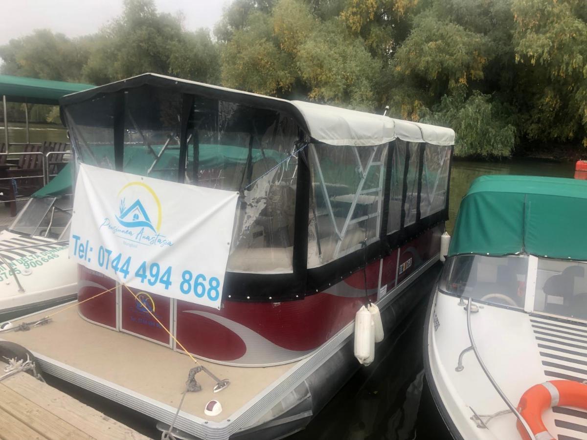 Complex Turistic Casa Anastasia Farm stay