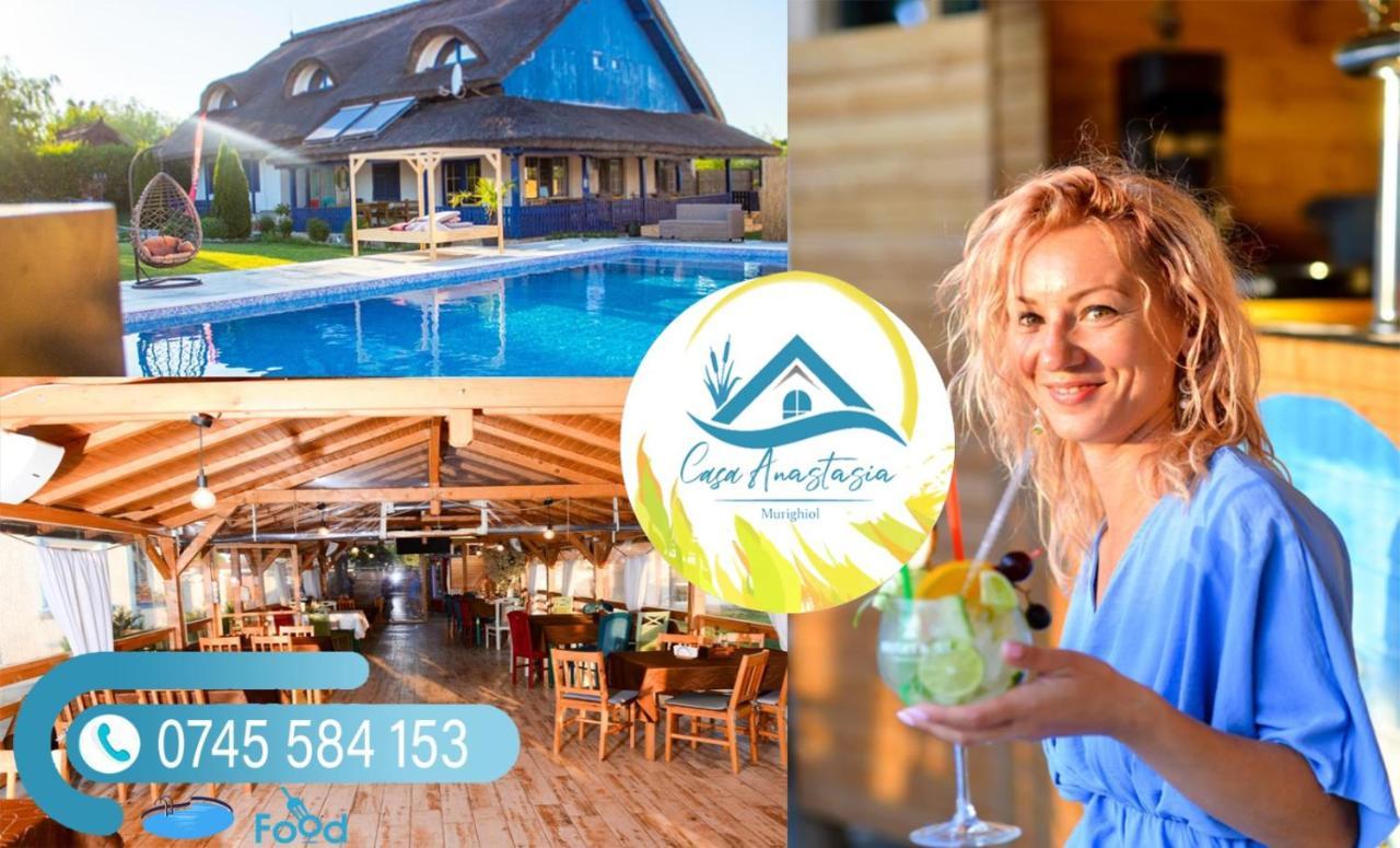 Farm stay Complex Turistic Casa Anastasia Murighiol