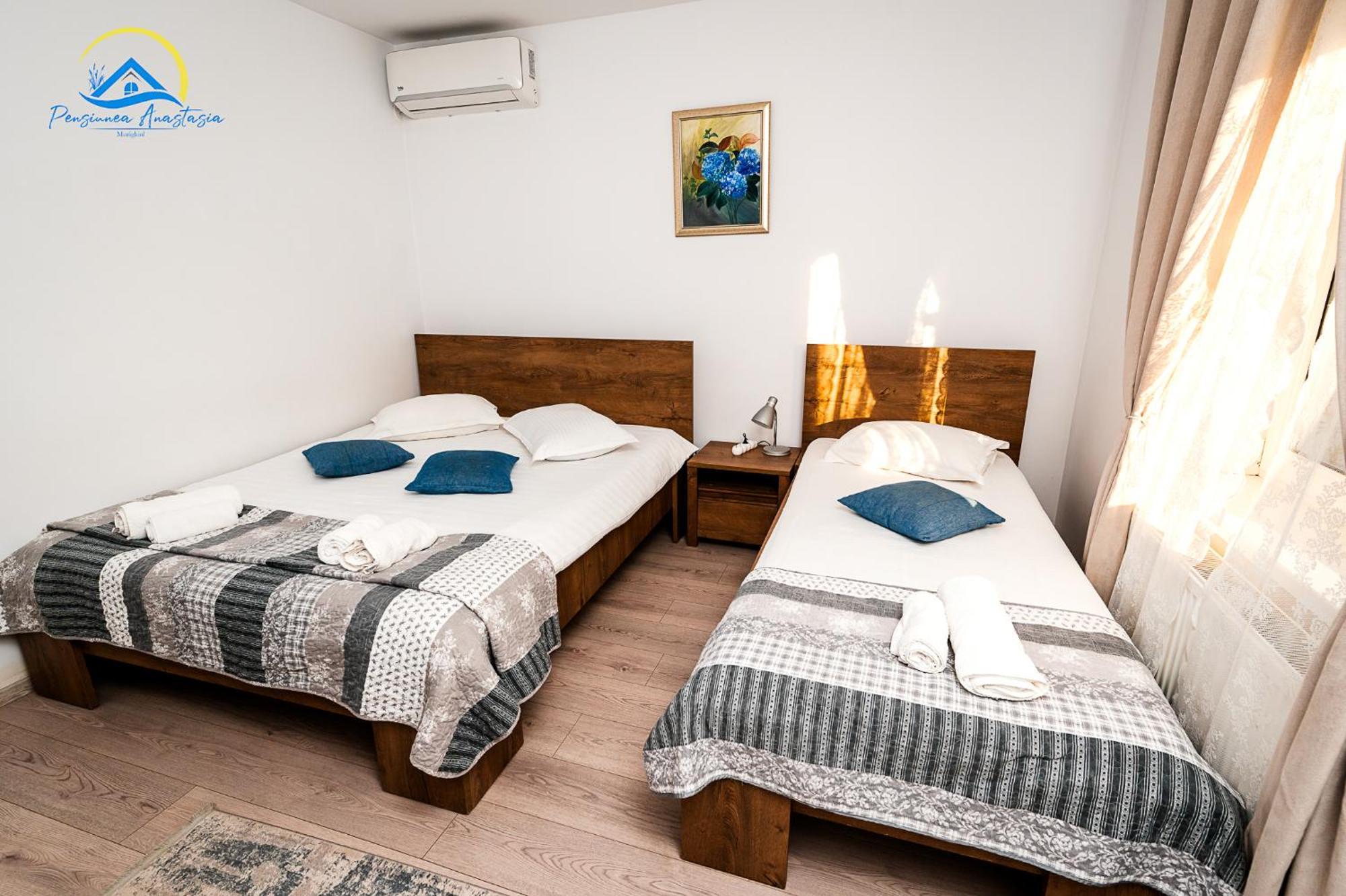 Complex Turistic Casa Anastasia Murighiol