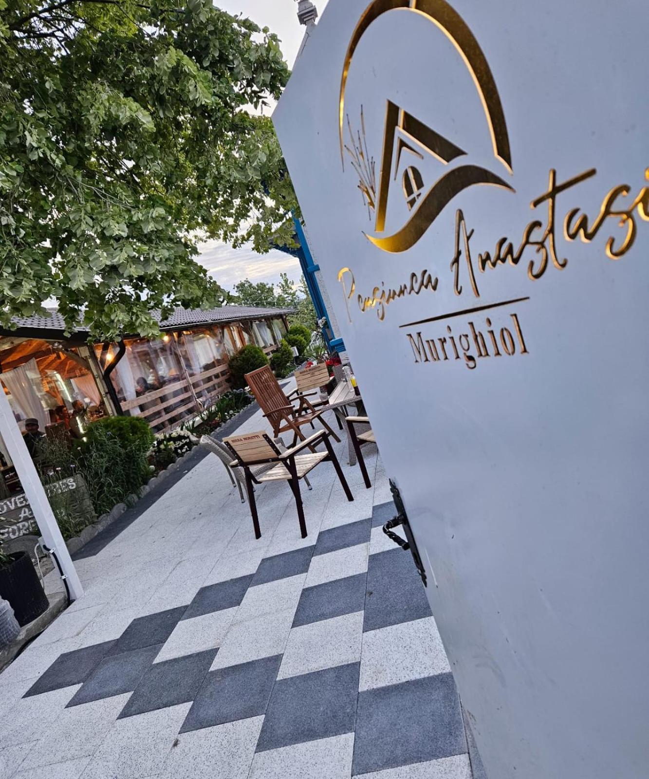 Complex Turistic Casa Anastasia * Murighiol