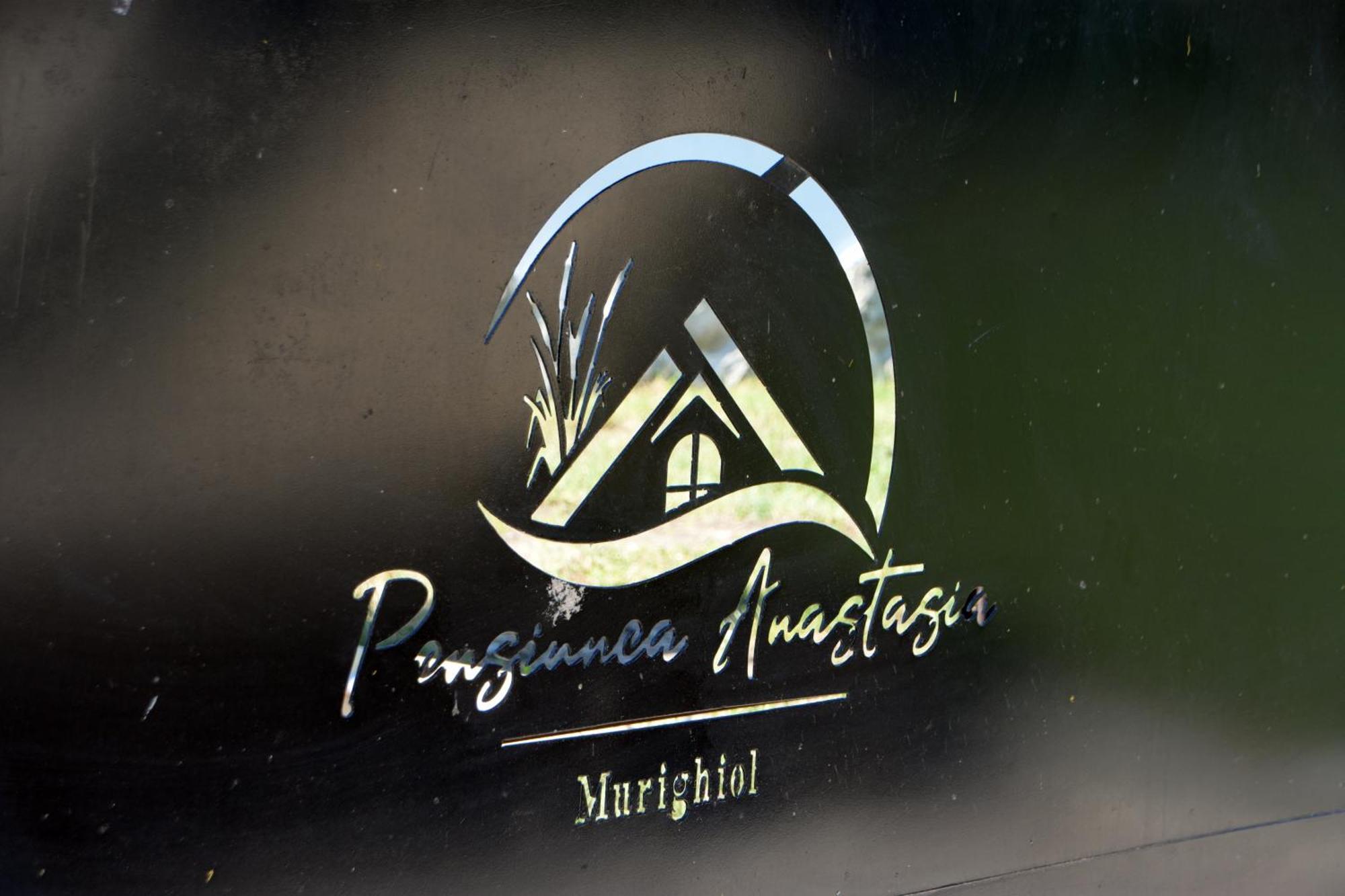 Complex Turistic Casa Anastasia * Murighiol