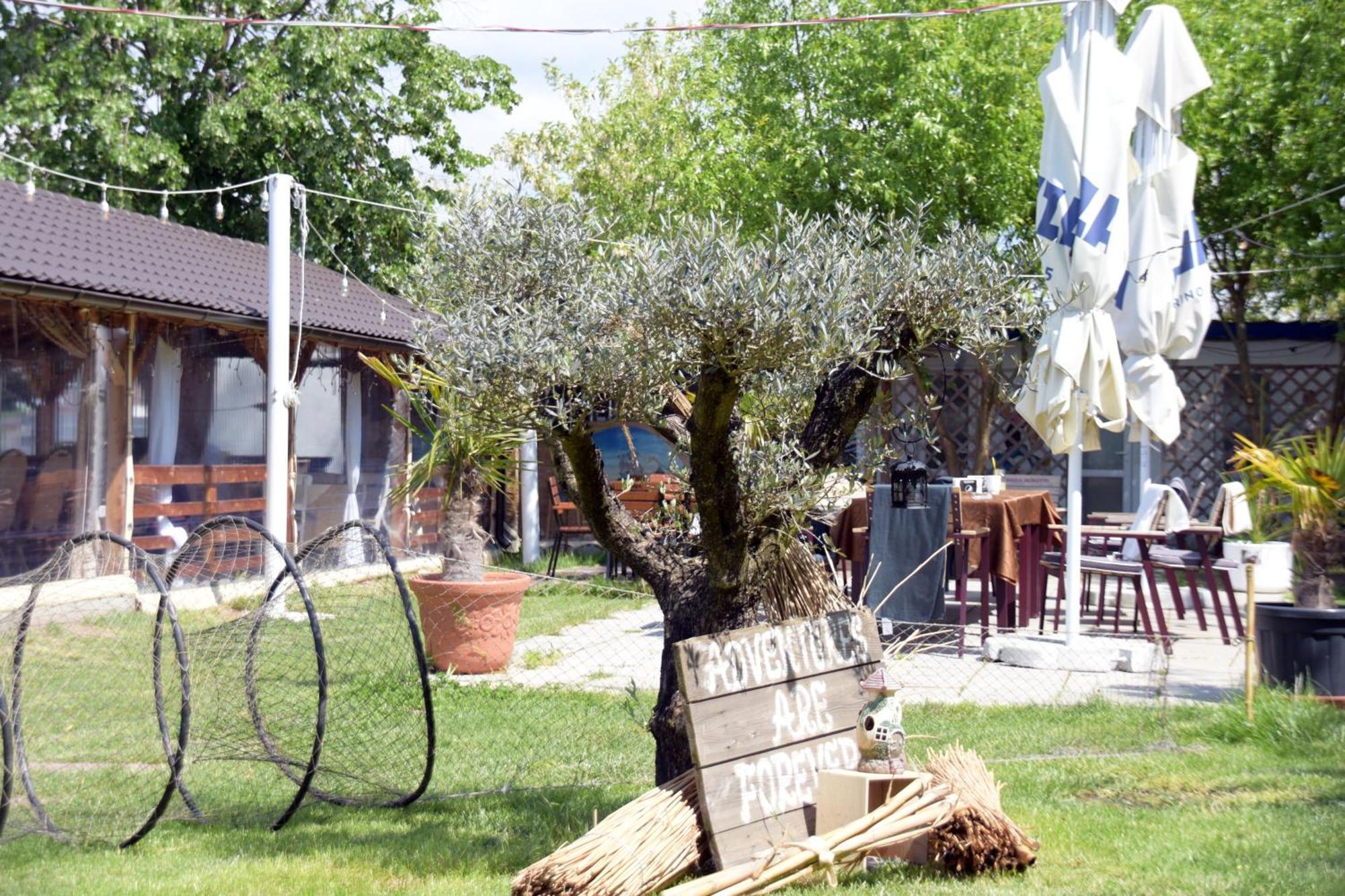 Complex Turistic Casa Anastasia Murighiol